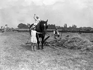 Collect Prints: Children Haymaking