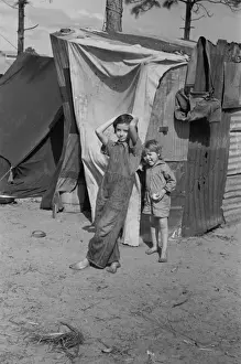 Camped Prints: Two children of a migrant fruit worker from Tennessee