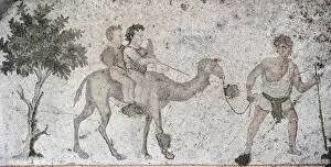 Images Dated 14th December 2013: Two children riding on a camel. Mosaic of the Great Palace M