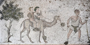 Images Dated 14th December 2013: Two children riding on a camel. Mosaic of the Great Palace M