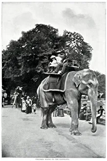 Ride Collection: Children riding elephants at Zoological Gardens 1896