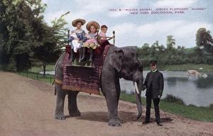 Children riding an Indian elephant, New York Zoological Park Children riding an Indian elephant, New York Zoological Park