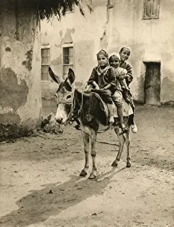 Villages Prints: Children at the village of Marg near Cairo riding a donkey