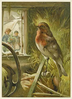 Birds Collection: Children Watch Robin