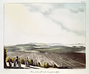 Chile (19th c. ). ConcepciLitography