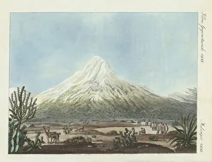 Inactive Prints: Chimborazo viewed from the Tapia plateau
