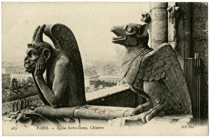Images Dated 24th June 2016: Chimeras - Notre Dame, Paris, France