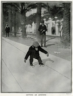 Images Dated 7th April 2017: Chimpanzee roller skating in Cannes