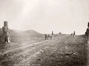 Thomas Child Prints: China c. 1880s - stone animals on the avenue to the Ming Tombs