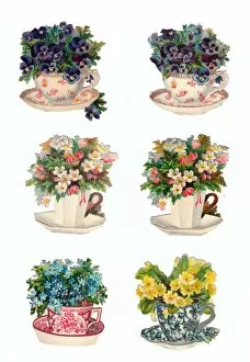Images Dated 13th November 2015: China cups with flowers on six Victorian scraps