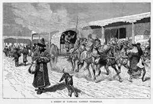 Turkestan Prints: China Shache