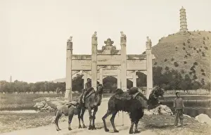China - Summer Palace