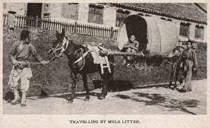 Images Dated 8th February 2016: China - Travelling by Mule Litter