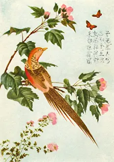 Chinese art, bird on a branch with butterflies and flowers