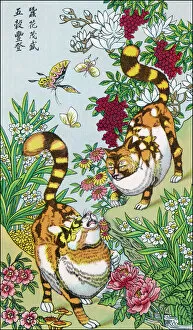 Cats Collection: Chinese Cats / Silkworms