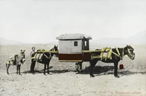 Palanquin Prints: Chinese covered litter