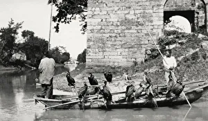 Chinese fisherman, boat with fishing cormorants, China