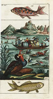 Encyclopedia Gallery: Chinese fishermen using cormorants to catch fish on a river