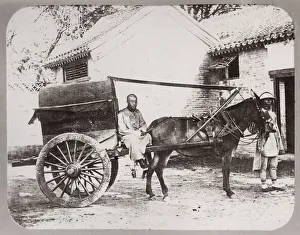Chinese horse and cart with driver, China