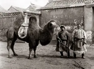 Two Chinese men and a camel, proably Peking, China circa 188