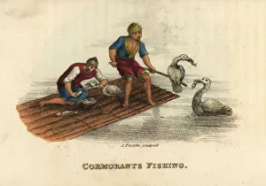 Freschi Collection: Chinese men cormorant fishing on a raft in
