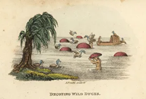 Freschi Collection: Chinese men hunting wild ducks with decoy