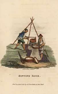 Freschi Collection: Chinese men winnowing rice with sieves, Qing Dynasty