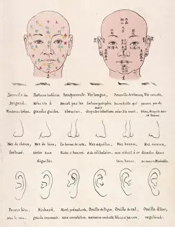 Reveal Prints: Chinese Physiology Syst