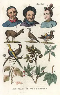 Musk Prints: Chinese portraits, fauna and flora