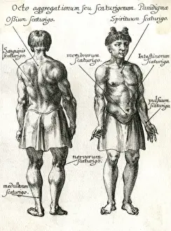 Pulse Prints: Chinese Pulse Therapy 1