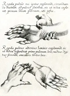 Pulse Prints: Chinese Pulse Therapy 3