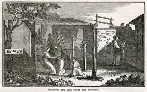 Chinese silk - winding from the cocoons
