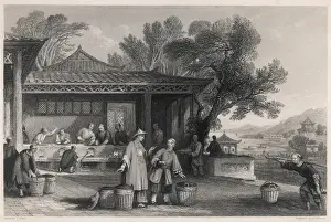 Growing Prints: Chinese tea industry