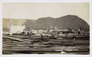 Splitting Prints: Chinese Timber Yard