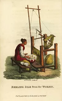 Freschi Collection: Chinese woman reeling silk thread from wild