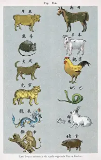Zodiacal Prints: Chinese Zodiacal Pairs