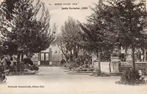 Chios Prints: Chios, Greece - The Honischer Garden