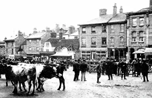 Chippenham Market early 1900s