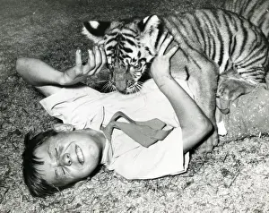 Chipperfields Circus - Tiger - Kumar
