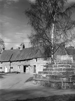 Chipping Prints: Chipping Warden