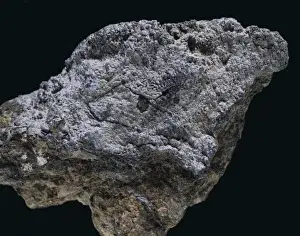Chlorargyrite