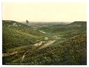 Chobham Prints: Chobham Ridges, Camberley, England