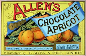 Allen Gallery: Chocolate Apricot poster