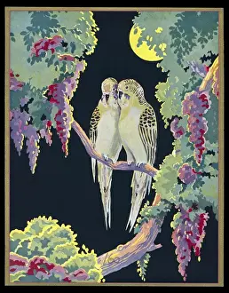 Huddling Prints: Chocolate box design, two budgerigars