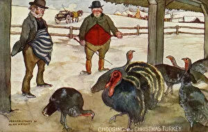 Choosing Gallery: Choosing the Christmas turkey