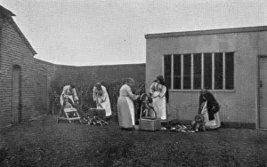 Chopping wood, Inebriates Reformatory, Guiltcross, Norfolk