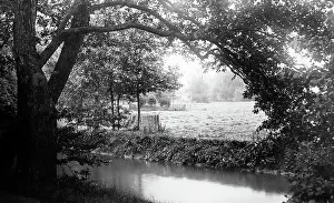 Meadow Prints: Christ Church Meadow, Oxford, Victorian period