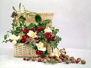 Nuts Gallery: Christmas arrangement of flowers, holly, ivy and nuts