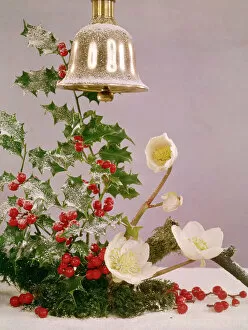 Frost Gallery: Christmas arrangement of holly, flowers and bell