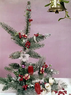 Frost Gallery: Christmas arrangement of tree, holly and candles